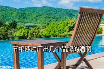 五粮液酒厂出几个品牌的酒啊