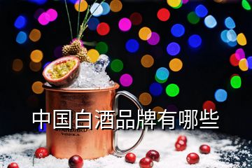 中国白酒品牌有哪些