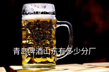 青岛啤酒山东有多少分厂