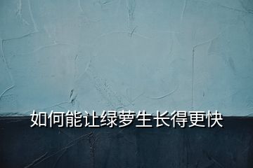 如何能让绿萝生长得更快