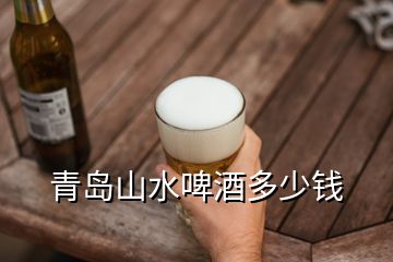 青岛山水啤酒多少钱