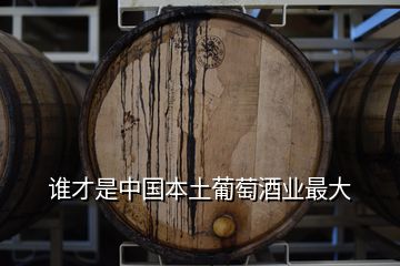 谁才是中国本土葡萄酒业最大