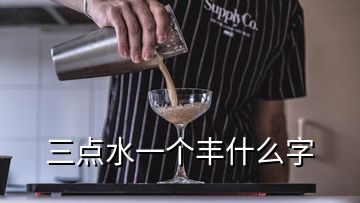 三点水一个丰什么字