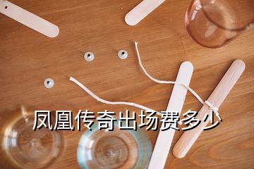 凤凰传奇出场费多少