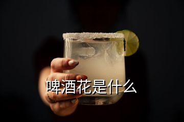 啤酒花是什么