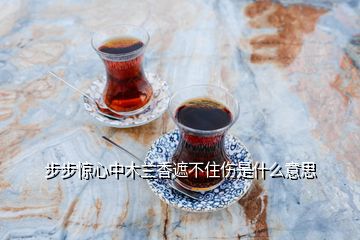 步步惊心中木兰香遮不住伤是什么意思