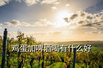鸡蛋加啤酒喝有什么好