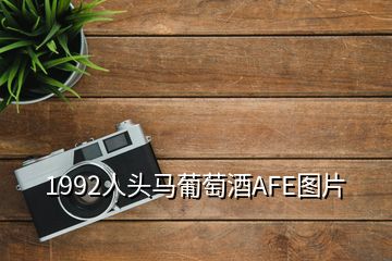 1992人头马葡萄酒AFE图片