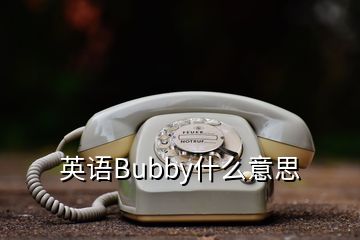 英语Bubby什么意思