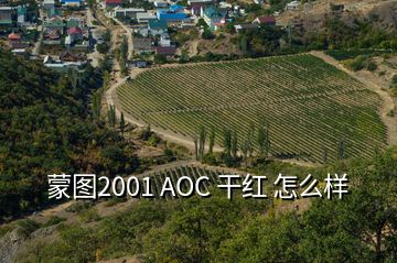 蒙图2001 AOC 干红 怎么样