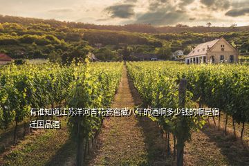 有谁知道江苏洋河青花瓷窖藏八年的酒啊多少钱的啊是宿迁国品酒