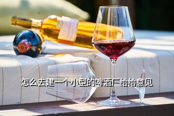 怎么去建一个小型的啤酒厂给给意见