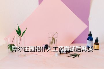 摩尔庄园招仆人工资面试后再谈