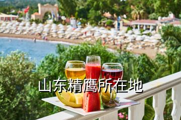 山东精鹰所在地