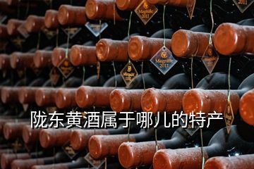 陇东黄酒属于哪儿的特产