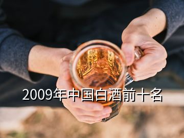 2009年中国白酒前十名