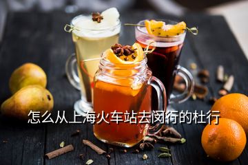 怎么从上海火车站去闵行的杜行