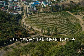 蔚县西合营有一个叫天坛还是天团什么的村子