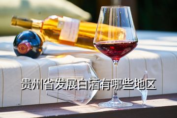 贵州省发展白酒有哪些地区