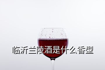 临沂兰陵酒是什么香型