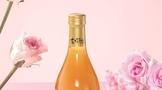 中国金花集团新款果味酒，花王小幸福新品已上市
