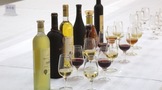 世界著名的红酒产地有哪些？影响葡萄酒质量的因素有哪些？