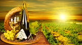 世界著名的红酒产区有哪些？什么条件适宜生产红酒？