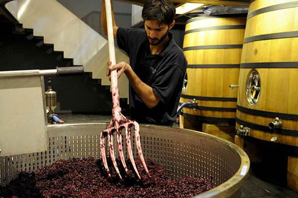 自己酿葡萄酒发酵好后怎么保存，注意这些事项才能保存更长久
