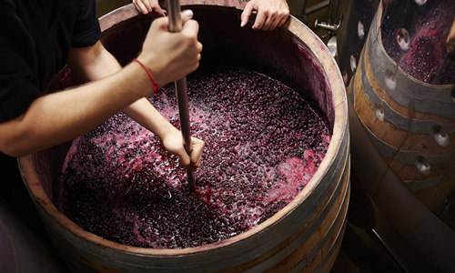 红酒是怎么酿造的？白葡萄酒和红葡萄酒酿造的差别是什么？