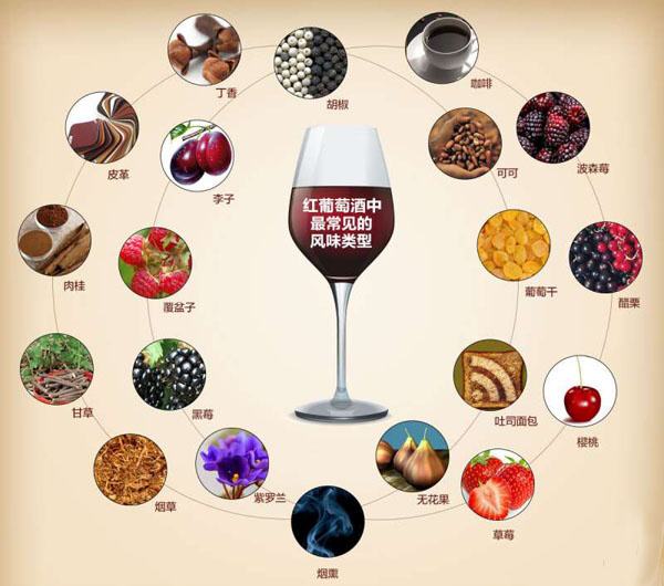 怎样才算好的红酒？常见的葡萄酒风味有哪些？