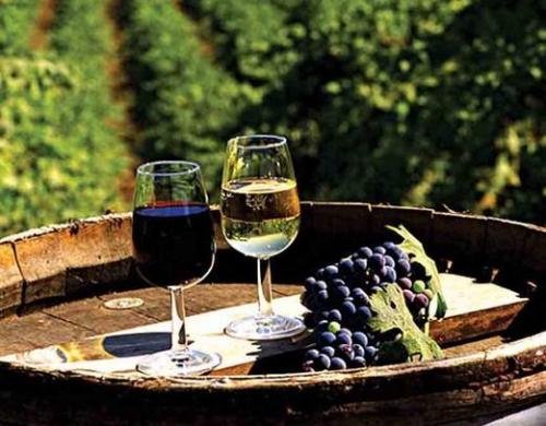 法国比较好的红酒品牌是什么？法国比较好的红酒产区有哪些？
