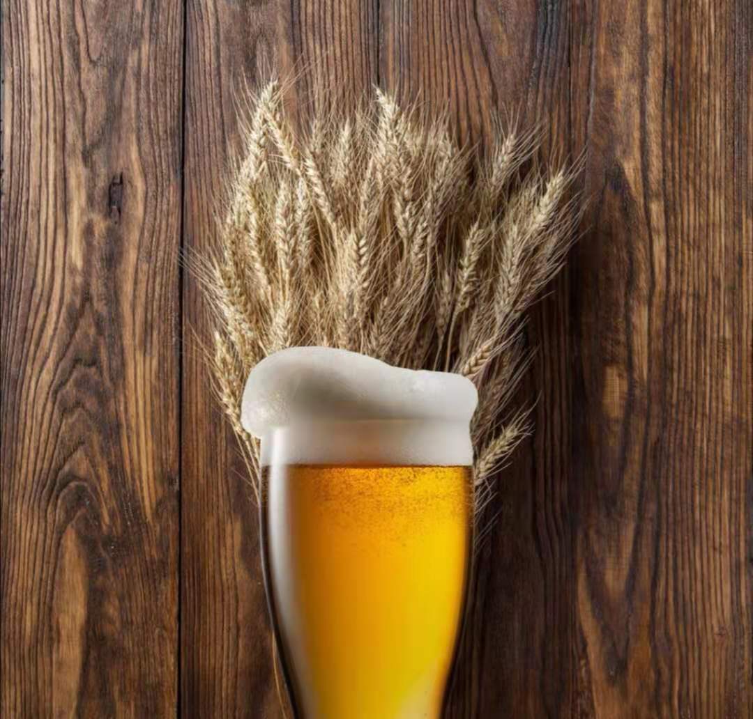 德国啤酒品牌排行榜