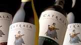 智利有什么葡萄酒品牌？智利葡萄酒如何分级？