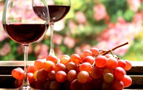 红酒是什么材料酿的？酿红酒的葡萄品种有哪些？
