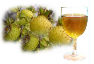 刺梨酒的泡制方法，刺梨酒的功效与作用