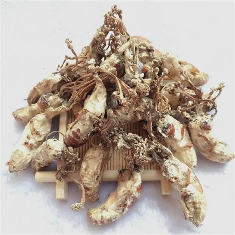 金蝉花可以泡酒吗？金蝉花的泡酒方法