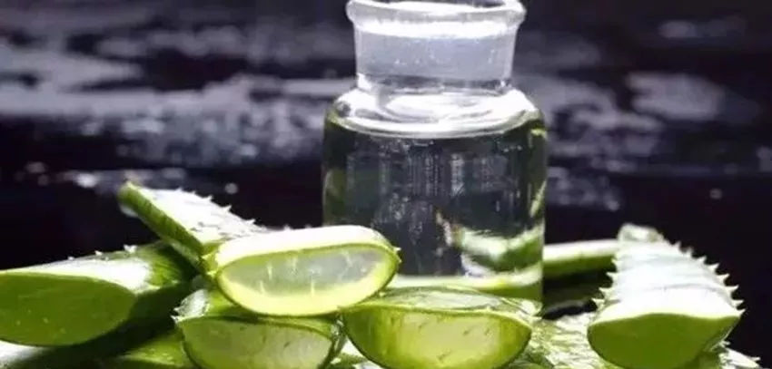 芦荟泡酒治皮肤病吗？芦荟泡酒的功效与作用