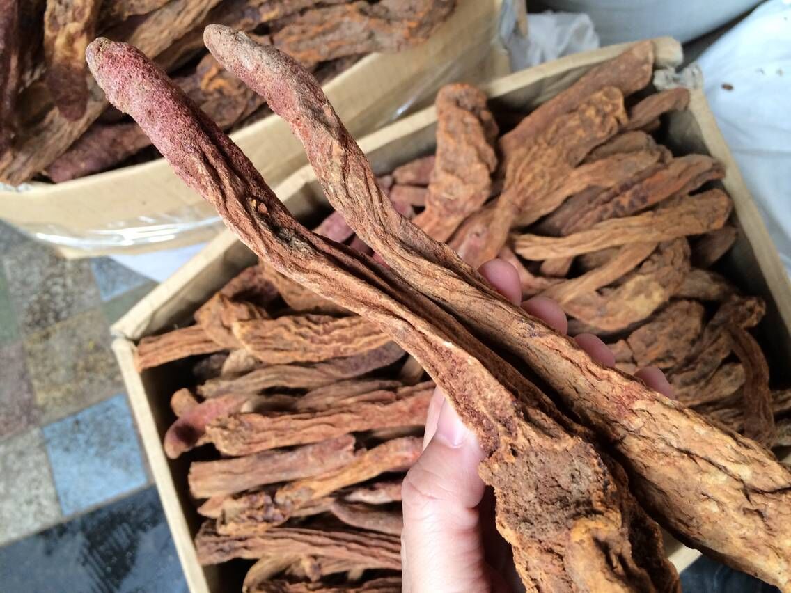 锁阳泡酒几天能喝，一般七天左右