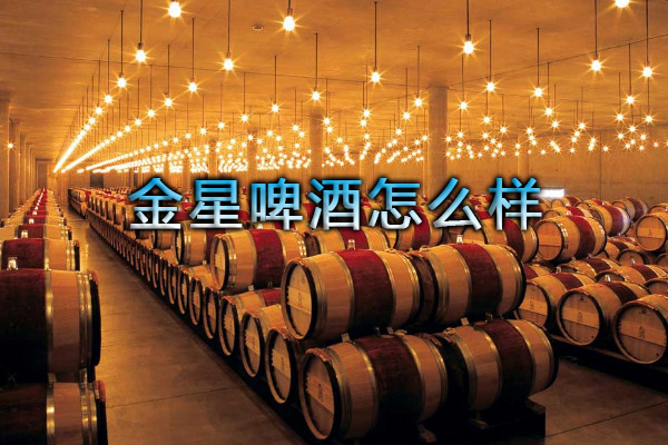 金星啤酒怎么样