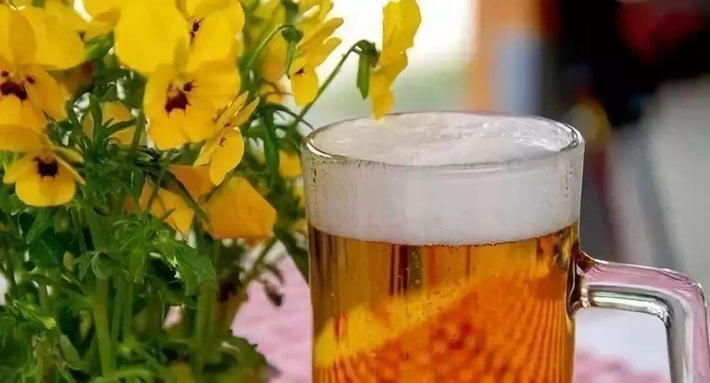 啤酒浇花适合各种花吗