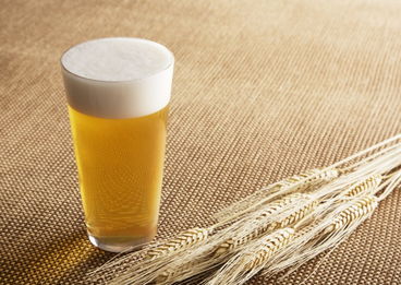 啤酒酿造制麦芽的目的