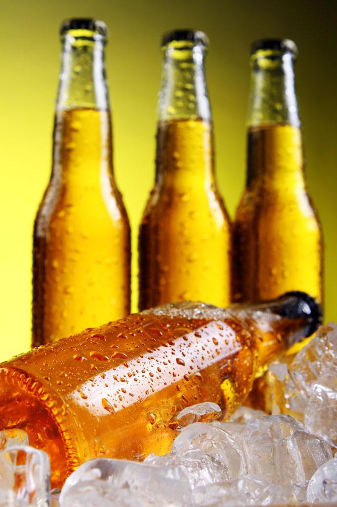 什么花用啤酒浇比较好