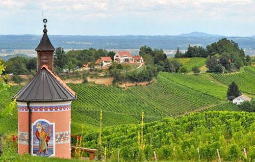 奥地利葡萄酒如何分级？奥地利葡萄酒主要产区有哪些？