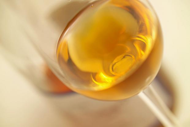 贵腐酒是用什么葡萄酿制的？酿制贵腐酒采用的葡萄品种