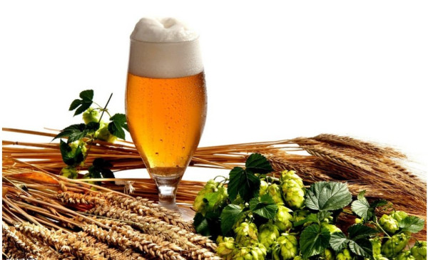 啤酒的麦芽度和酒精度有什么区别