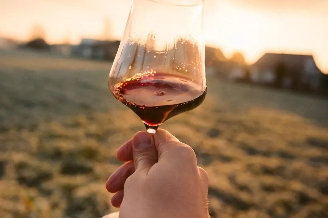 研究了12家葡萄酒企业2019年的年报后，我们发现了这些细节