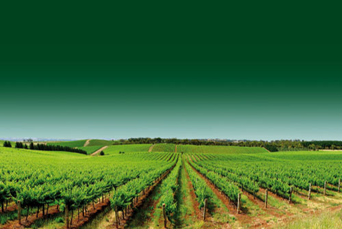 西班牙葡萄酒产区排名