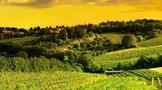 意大利北部葡萄酒产区