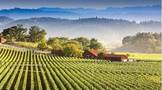 美国加州最著名葡萄酒产区