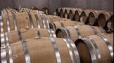 意大利葡萄酒总库存量同比2019略增2.9%